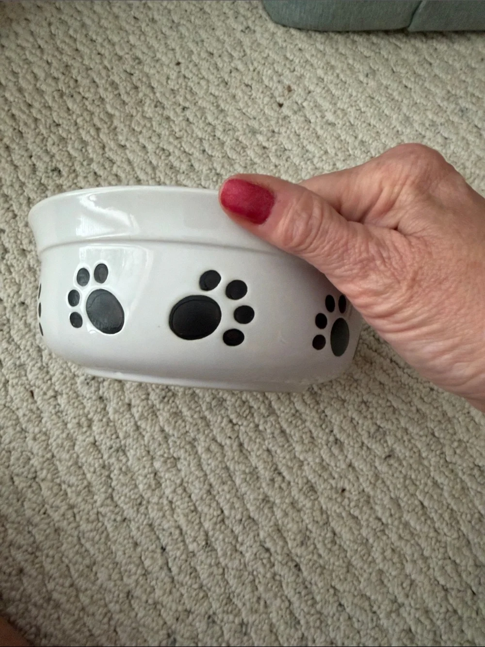 White Ceramic Dog Bowl with Black Polka Dots and Paw Print